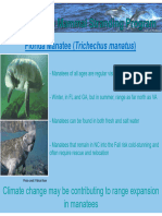 UNCW Factsheet: Manatees 