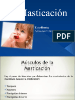 Masticación