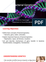 Bacterial Genetics