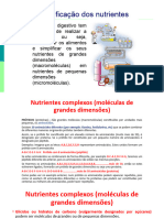 PPoint nutrientes e simplificação 2021