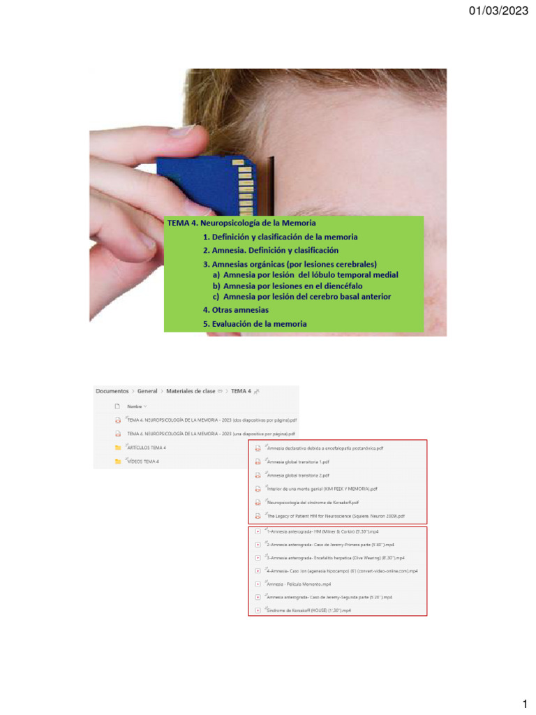 Tema 4 Neuropsicología De La Memoria 2023 Pdf Memoria Amnesia