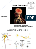 Neuroanatomia Farma