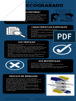 Infográfico Sistema de Impresión