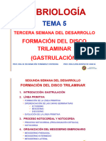 Tema 5 Disco Trilaminar-Gastrulación