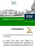 Metabolismo Secundario