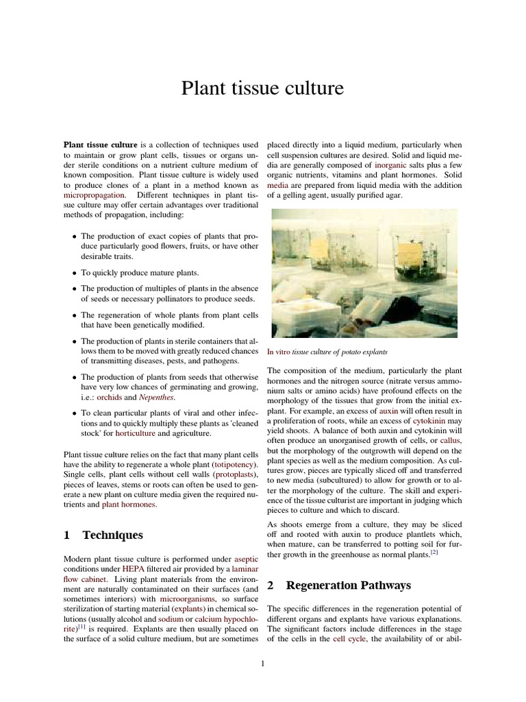 Plant Tissue Culture | PDF | Organisms | Developmental Biology
