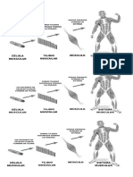 Ejemplo Nive de Orgacelular