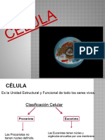 Célula