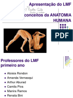 Introdução A Anatomia LMF 2023