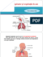 AP Respirator Si Respiratia