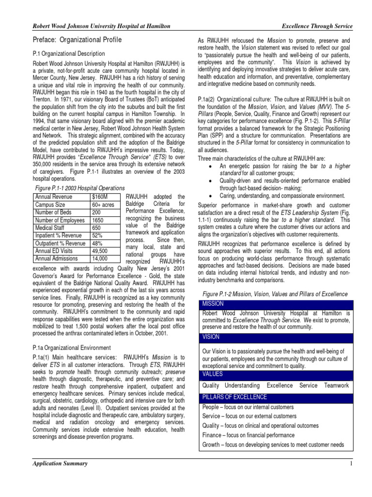 RWJ Hamilton Application Summary | PDF | Health Care | Supply Chain