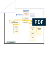 Evidencia Estructura Organizacional RegionL