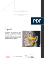 Nervo Trigêmeo ATUALIZADO Salvo Automaticamente]