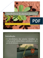 Aula 02 - Interferencia de Plantas Daninhas 2015.2 PDF