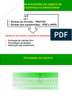 2 - Herbicidas Inibidores Do Fotossistema II Parte B