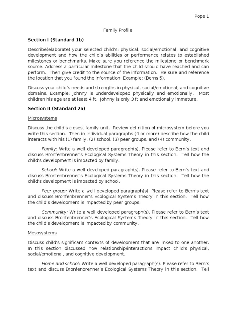 Child and Family Profile Analysis | PDF | Social Support | Community