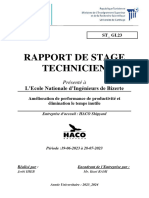 Jerbi Iheb Rapport