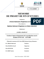 Rapport Pfe Version Finale de Jamila