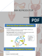 Sistema Reprodutor