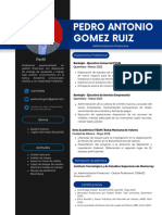 CV Lic - Pedro Gomez