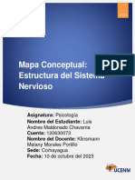Mapa Conceptual: Estructura Del Sistema Nervioso