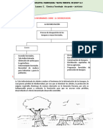 Nos Informamos Sobre La Deforestacion