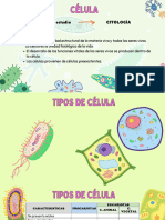 CELULA