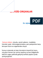 5) Lenf Düğümü Ve Tonsi̇lla 2022-23 Eralp