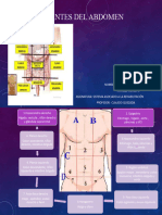 Cuadrantes Del Abdomen