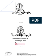Flash Cards de Neuroanatomia
