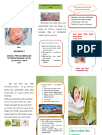 Leaflet Memandikan Bayi
