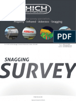 HICH Snagging Survey 