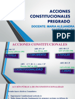 Acciones Constitucionales Pregrado Doc. M. Alejandra Castro Galán