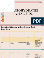 Biochemlab Carbslipids