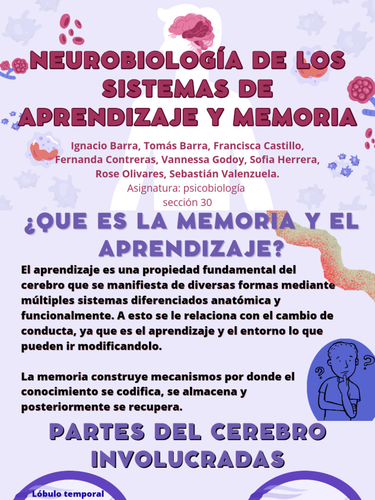 Memoria y Aprendizaje | PDF | Memoria | Aprendizaje