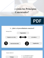 ¿Dónde Están Los Principios Concursales - Grupo2