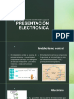 Presentación Electronica