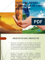 Proyecto de Medio Ambiente y Vida Saludable