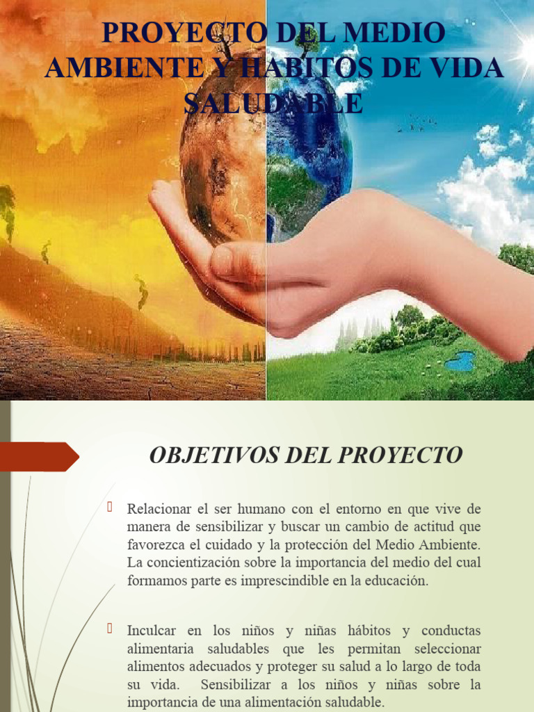 Proyecto de Medio Ambiente y Vida Saludable | PDF | Deforestación ...