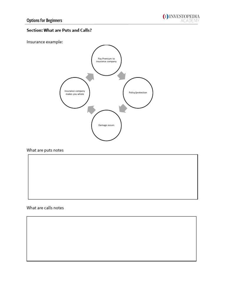Puts and Calls Overview Workbook | PDF