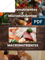 Macronutrientes y Micronutrientes - 1