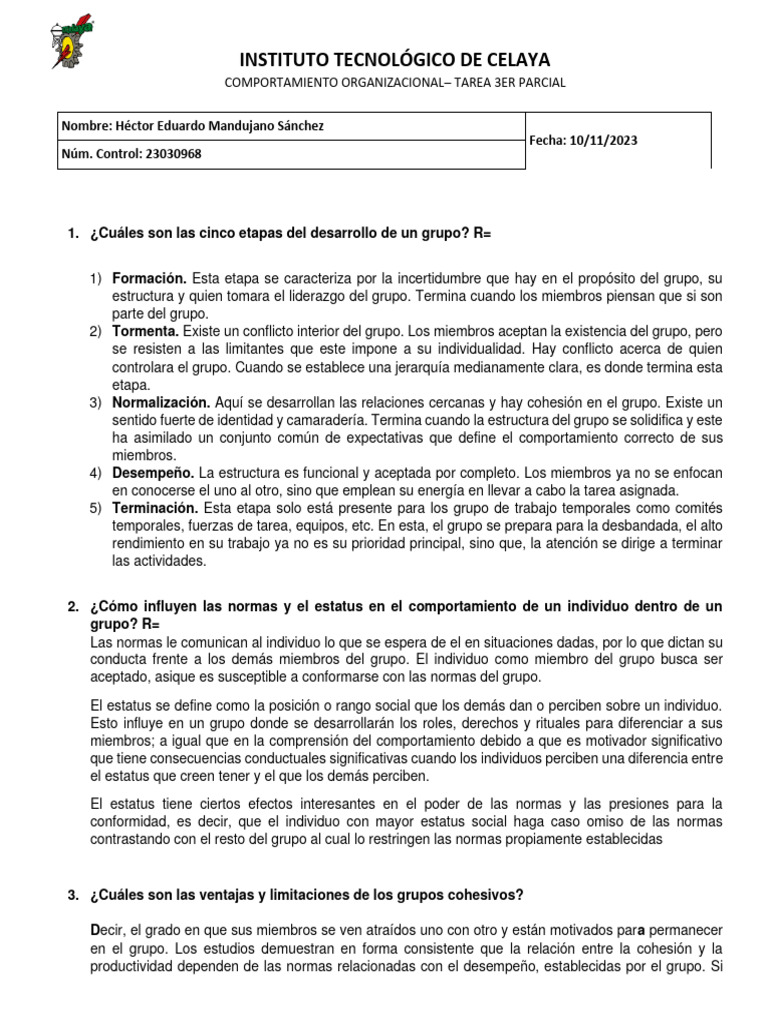 TAREA 3P Comportamiento Grupal.01 | PDF | Cohesión grupal | Comportamiento