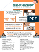 Green White Blue Lined English Types of News Audience Infographic