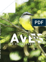 Aves de El Salvador 24 Sept