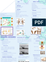 Triptico de Semiología de Miembros Superiores e Inferiores