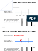 Executive Team Skill Assessment Worksheet