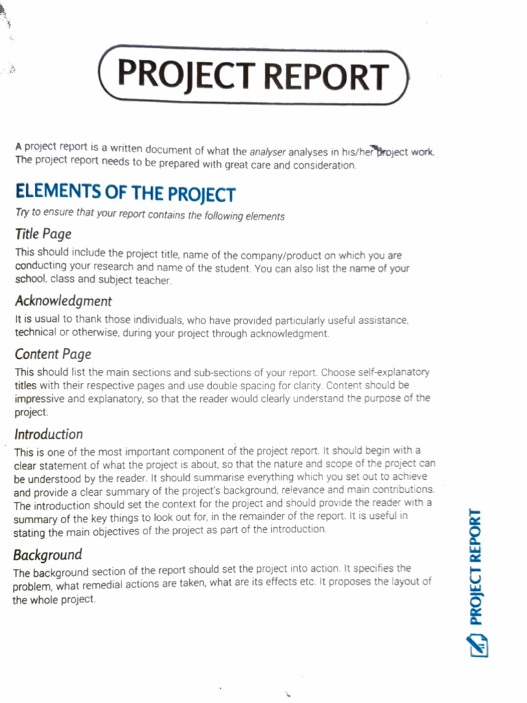 Computer Project Report | PDF