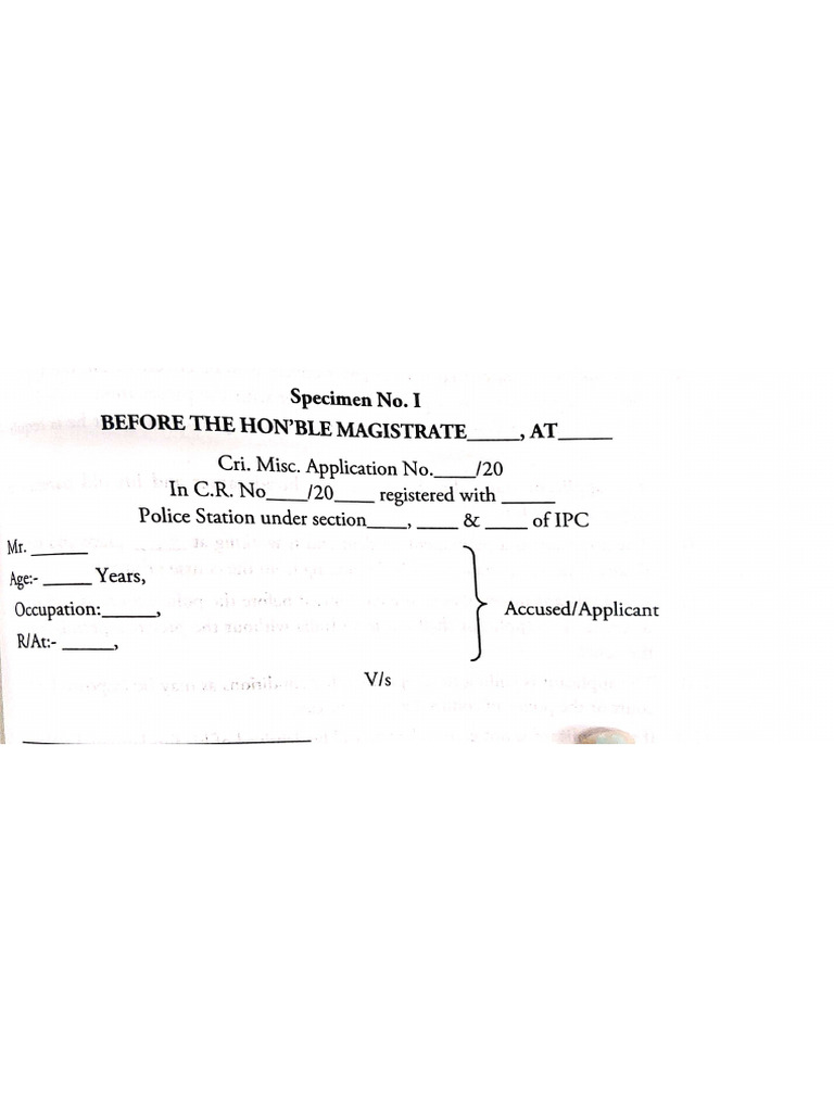 Bail Application | PDF