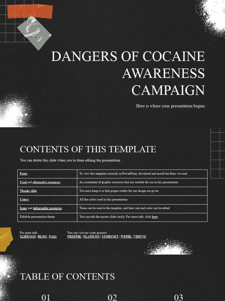 Dangers of Cocaine Awareness Campaign PDF Target Audience Brand