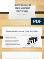 Determinan Sosial Dalam Kesehatan Masyarakat